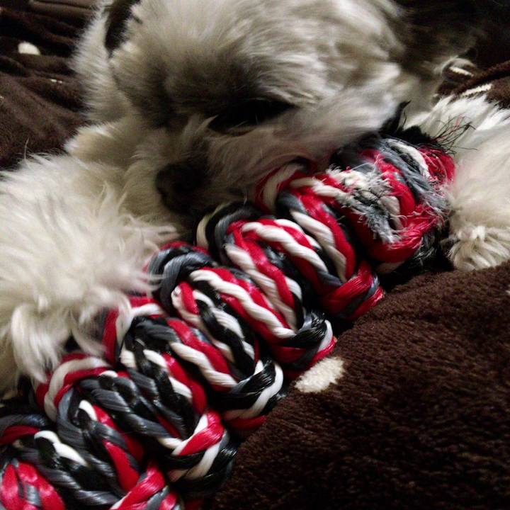 C0e6c173 473f 488f 87ca 2177bd857a2d