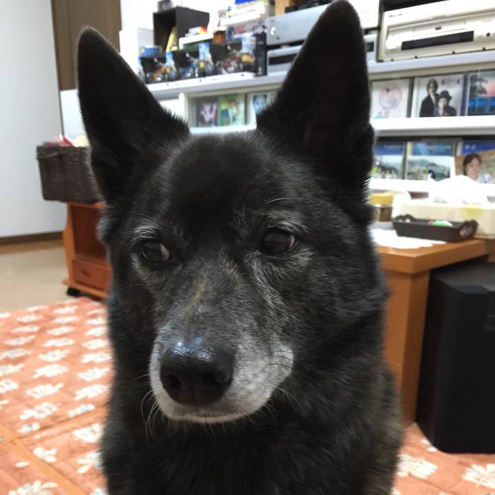 C0e73c3e 9396 4ee0 b4fd 7107823b2279