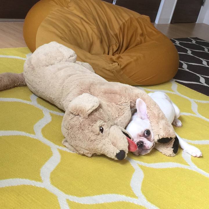 C0e76d55 86cf 49fa 9128 4e053b667ce8