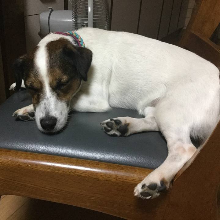 C0e7d56e a090 4f8d a04b c1a51280bcbb