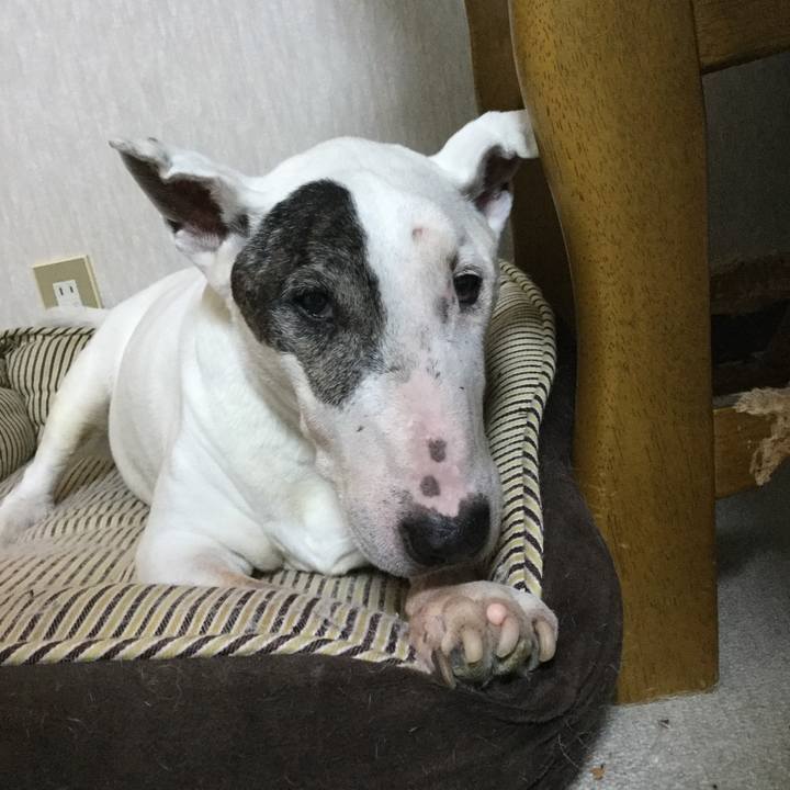 C0e86817 0508 4eba 82fc d8c8ba18b6ee