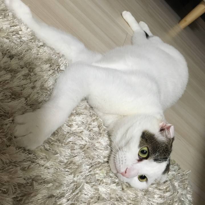 C0e8bcdf a1ca 4186 8ba0 a6931f6ecab9