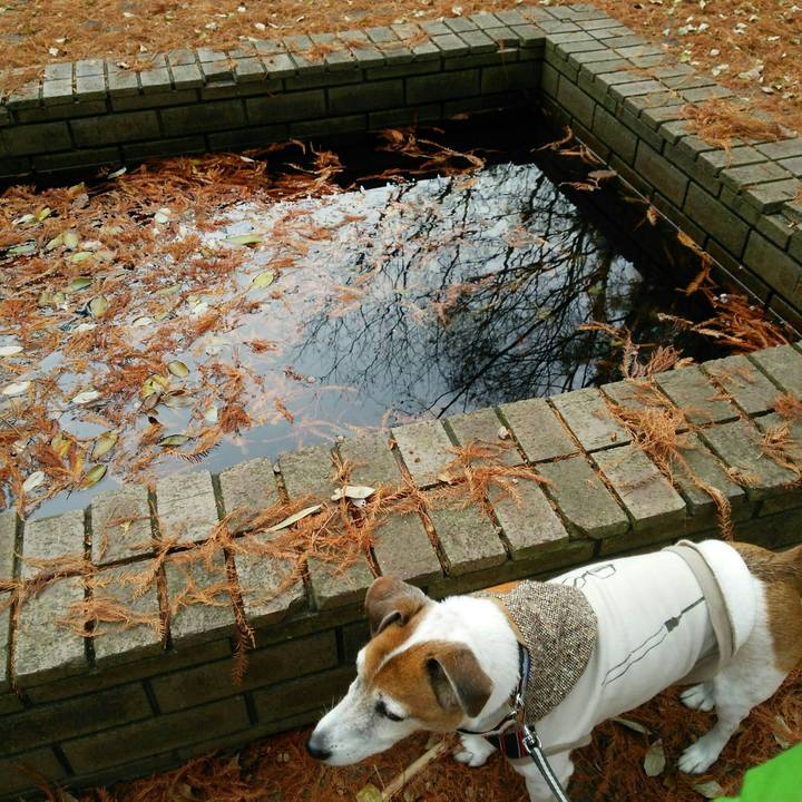 C0e9337a 5acf 47ee 9551 f3a7562f0551