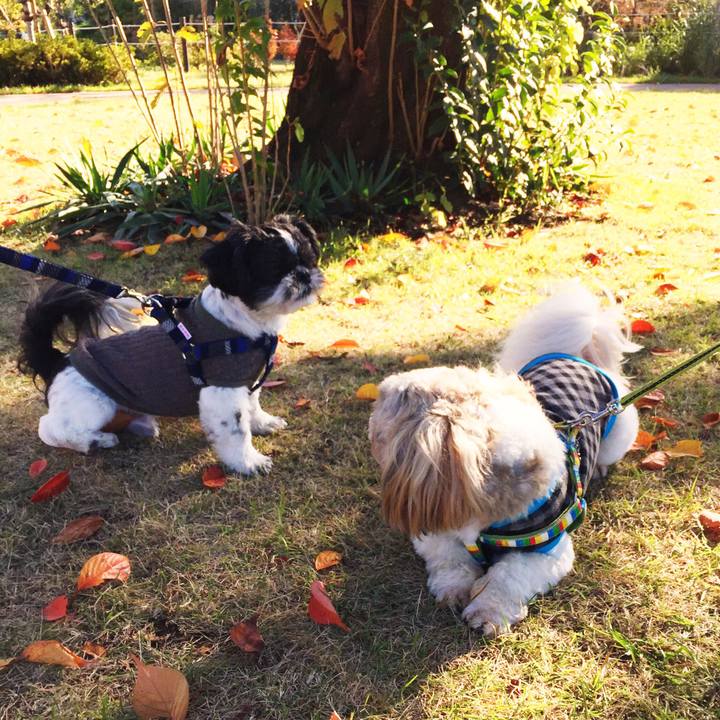 C0e96310 8d9f 41ce 9cb2 e43005a6df2a