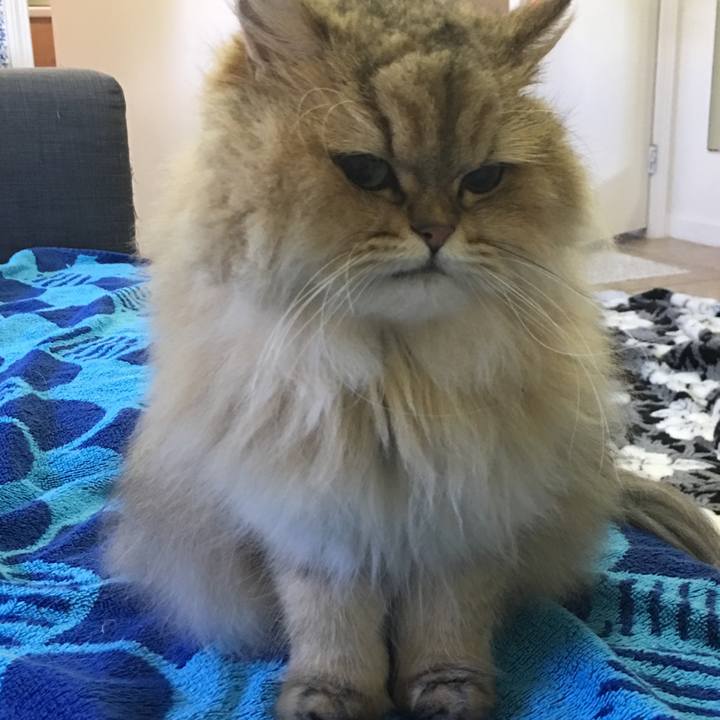 C0ea24ae 131f 44df ae15 f3ae70313f72