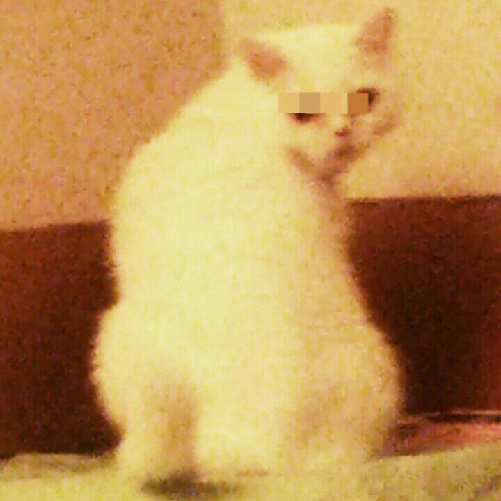 C0ea33ee c909 4d46 b36e 8501f2287cb5