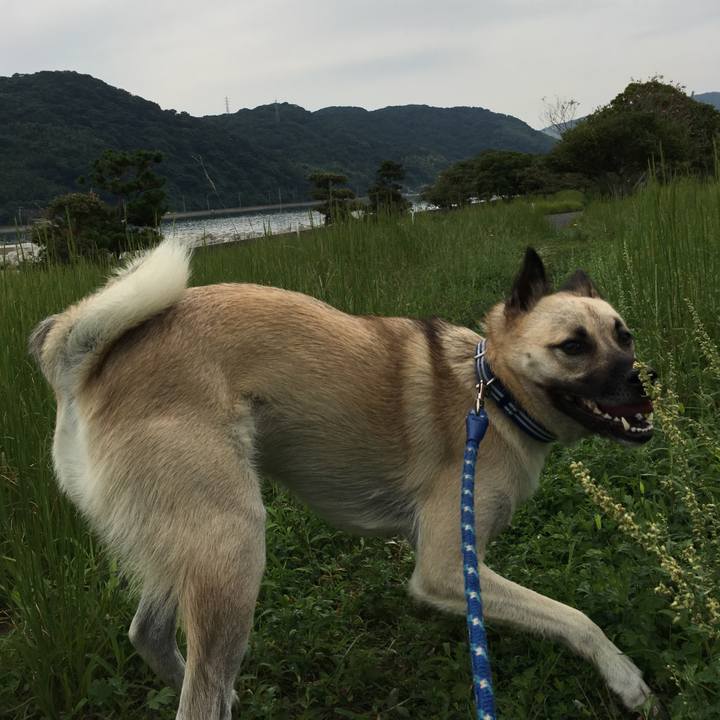 C0ea8b30 d320 4525 94b3 959c4c09980b