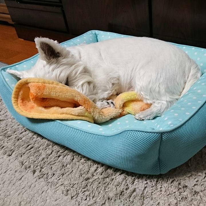 C0eb26db df9c 4f20 83d7 d12840d98597