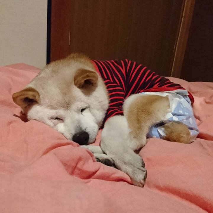 C0eb2d5b d61a 4c63 b403 e1df1b6a67c7