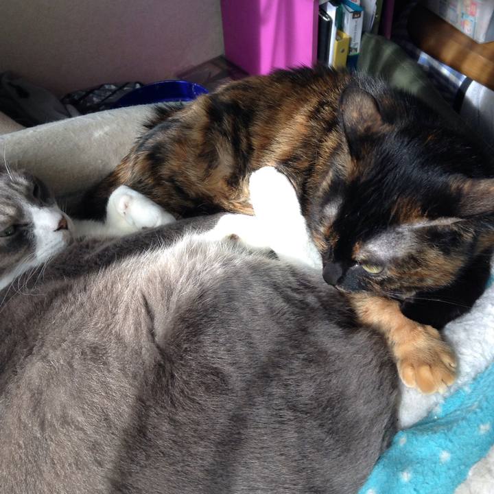 C0ebd755 eb47 4dfd 8f10 49bd4d564f06