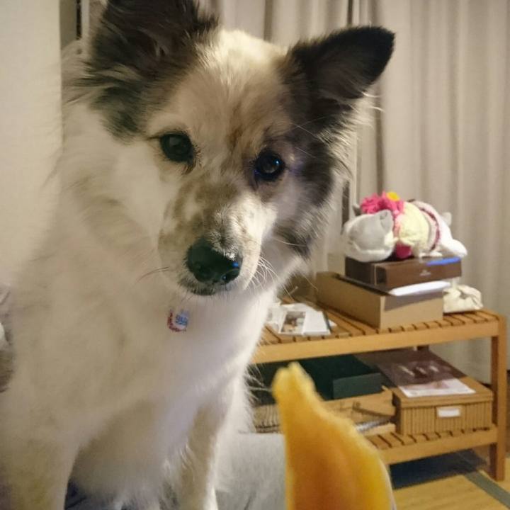 C0ed4e44 a345 4563 9ca5 220f95936e80