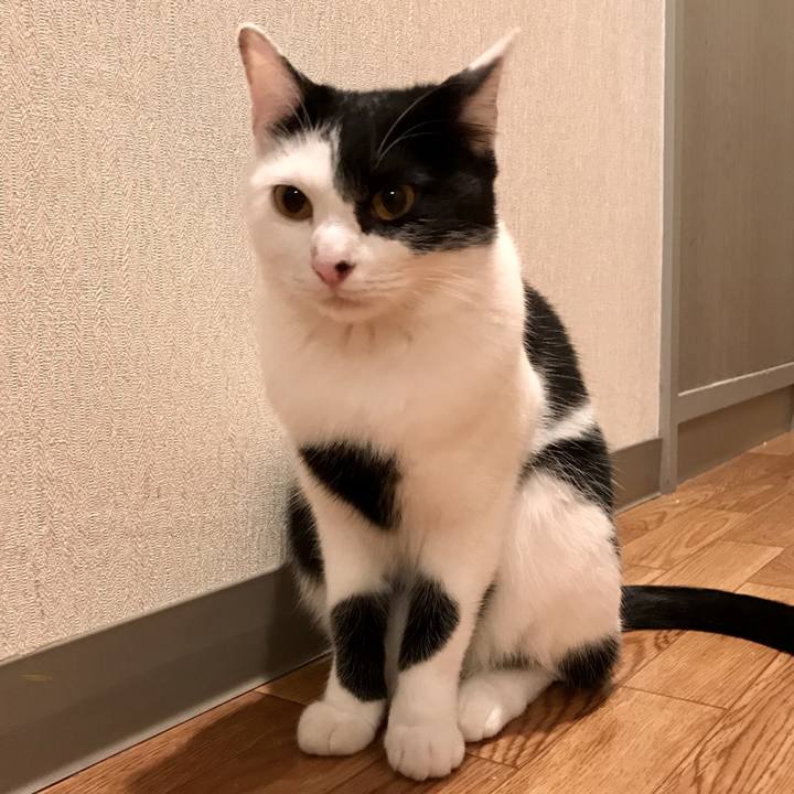 C0edef78 9565 4f1d 968f 9fcf4887bcbd