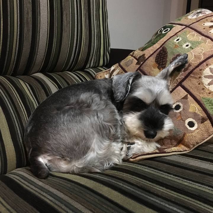 C0ee2e06 aad3 4947 9ae6 75302678f9a2