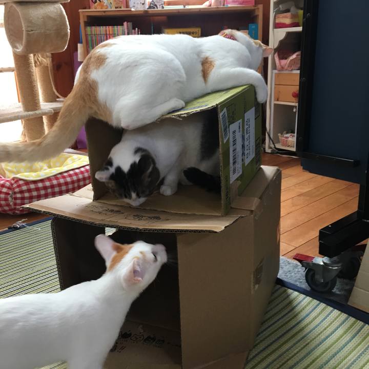 C0ef5c2b 37d8 446b 89d2 80e39bd1a07b