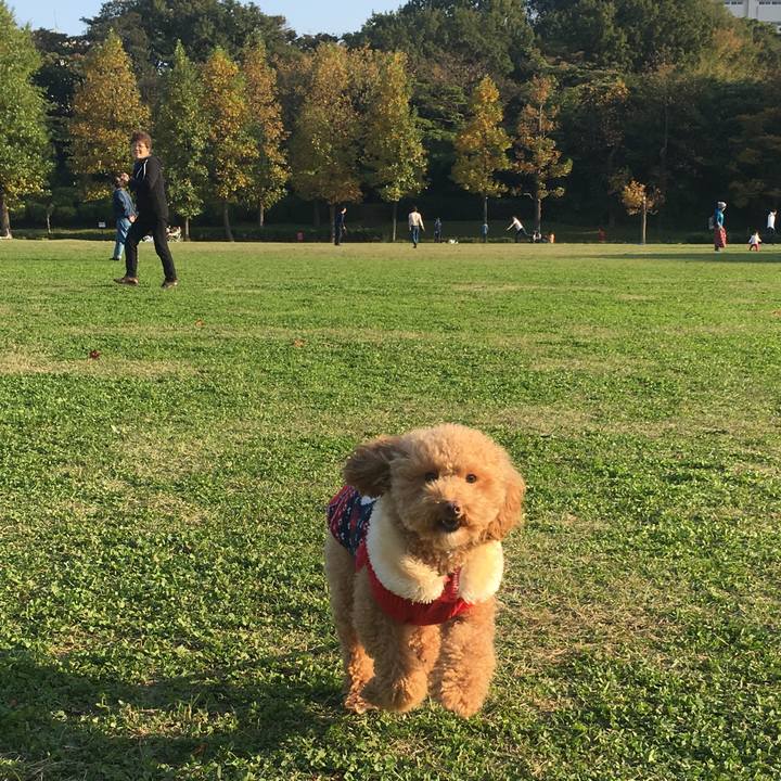 C0f05294 8ca2 4f2c a1f5 6f1b593ac8c8