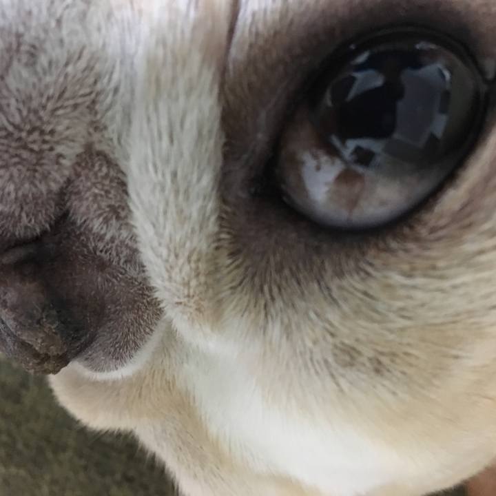 C0f0d0c8 6de1 4e1e 9c08 d0d2b47353d8