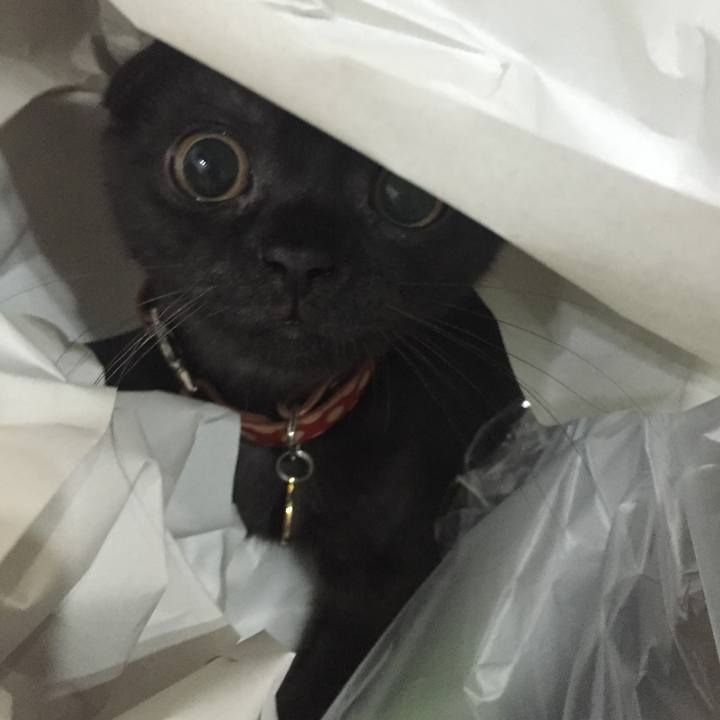 C0f0e303 a9c5 4c3d 9fa9 fb89dfbd8260