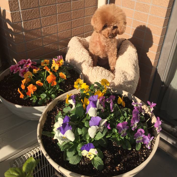 C0f0f776 9df2 445a a354 613b95442385