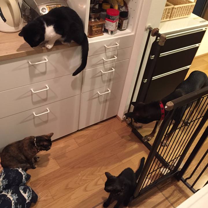 C0f0fb6a ef4b 44b0 abad 21c3a87488a5