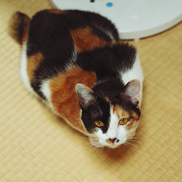 C0f11812 03b3 4035 8be3 f25e8ebd3bff