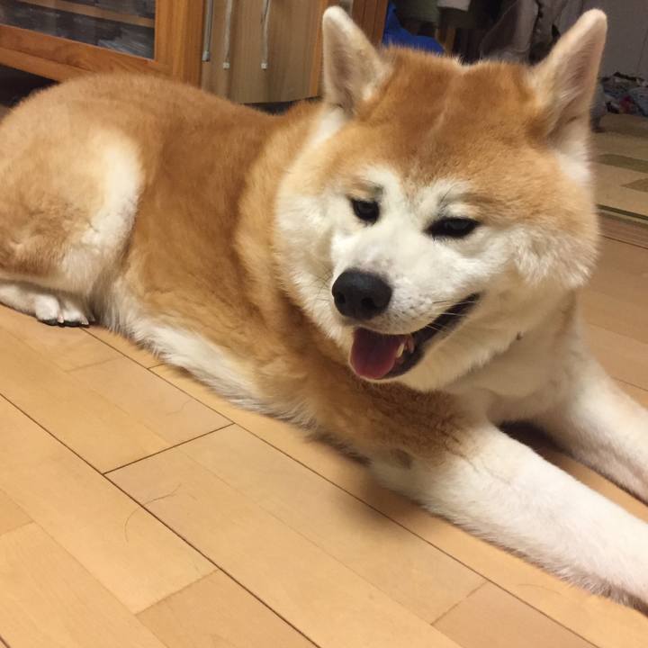 C0f15705 3bee 4170 9f74 6535de10e2dc