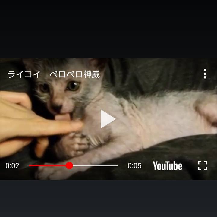 C0f1f06b c36e 4c2a a87b da1e849f5f21