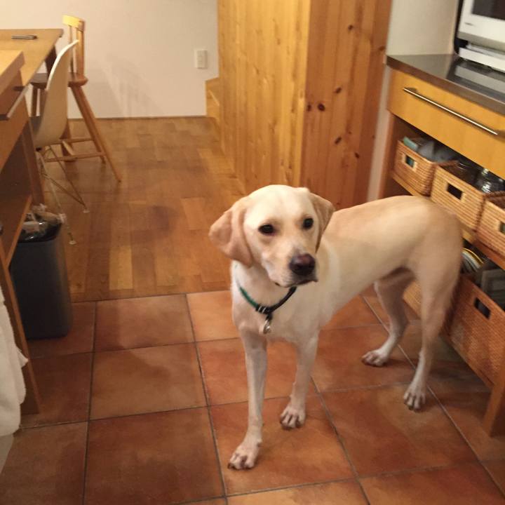 C0f2a1ad 3867 4b76 929a 81e3f75cb154