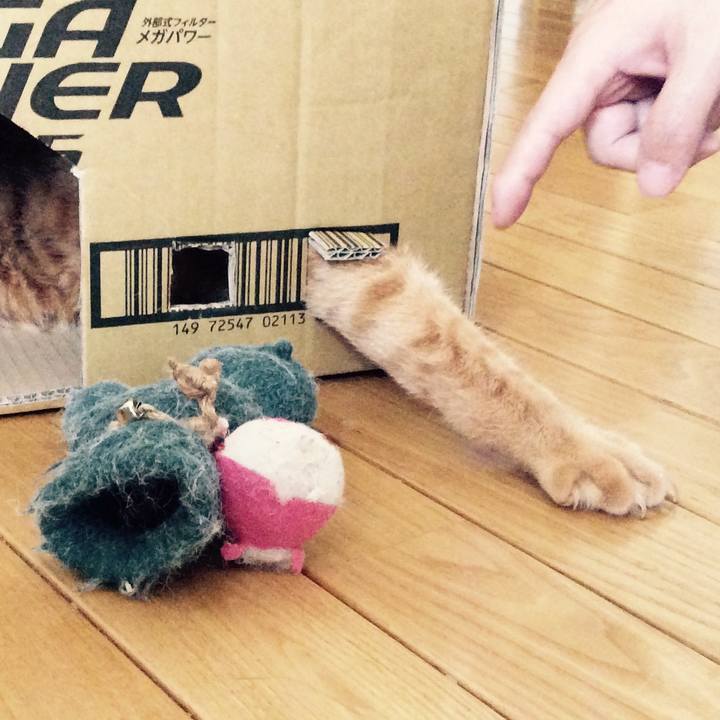 C0f42a0c dd03 49b4 953b 7847937abefb