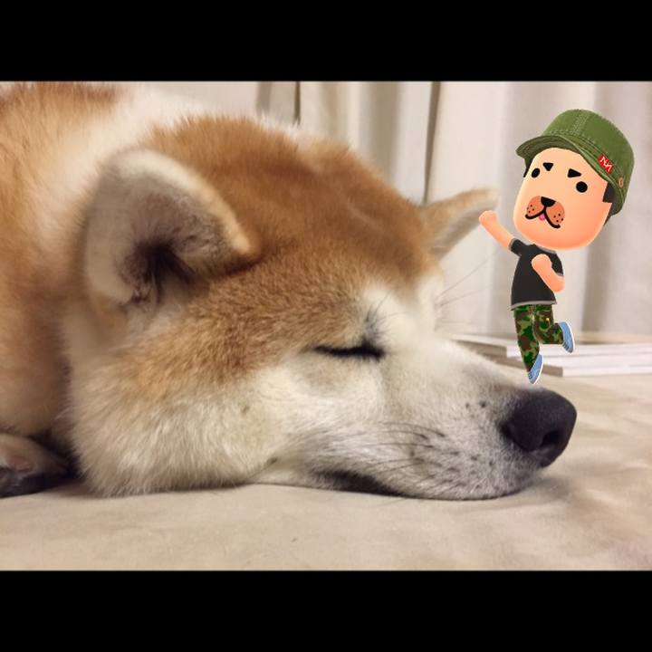 C0f45a7f b279 4705 ac58 8ffce53acf2b