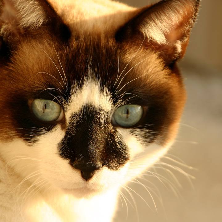 C0f477a9 aa4c 4e31 b149 4fe5cef4d3ed