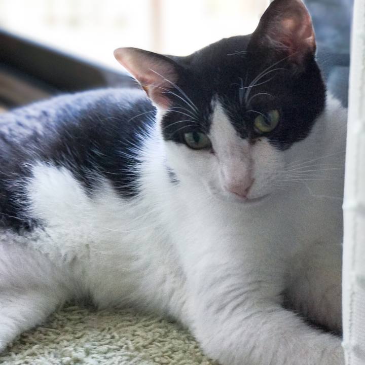 C0f516ba 6a0b 4ed5 9fad 46f1d27fb0b4