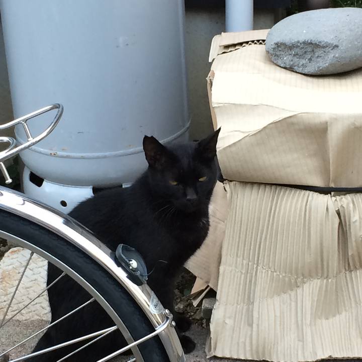 C0f59250 1ba9 4ecf a124 3a8195faaf4f