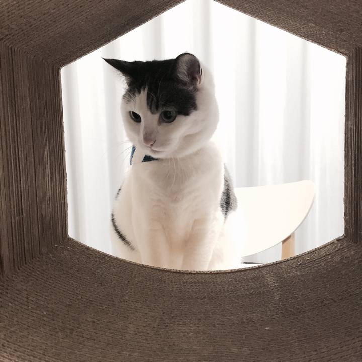 C0f6f0c5 7cb7 4e25 a34f 09e5d9a8d342