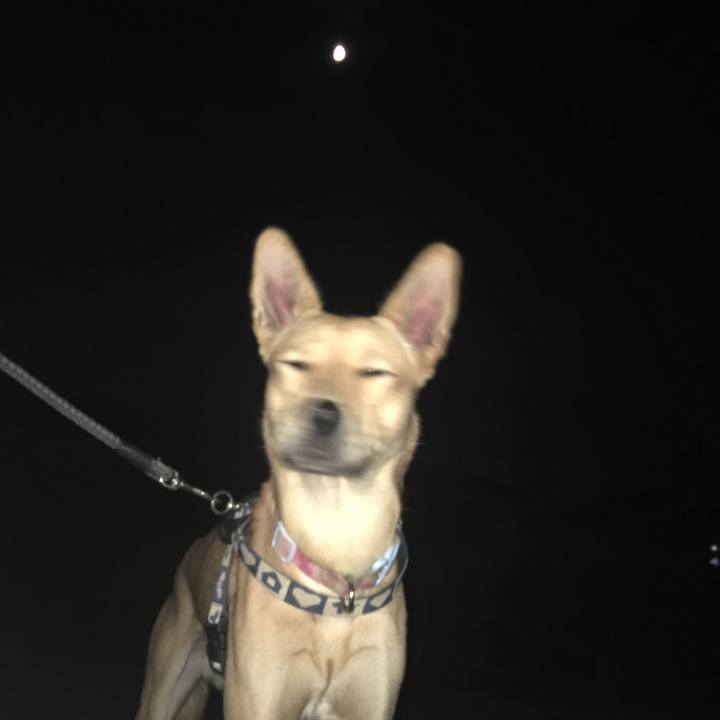 C0f75b3a b06e 44f8 b5d7 417bd2a66065