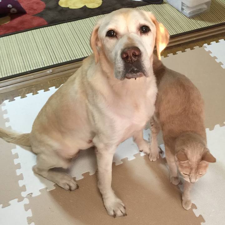 C0f84fa4 2712 4c04 b559 cfd9a2c17905