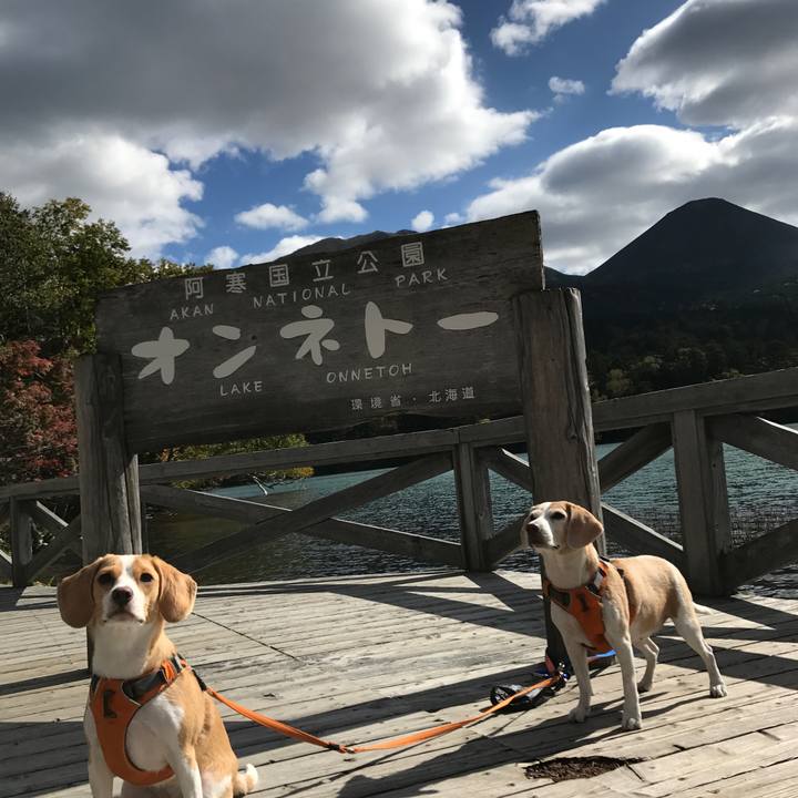 C0f85587 202a 4b2e 9f03 f87e28c15281