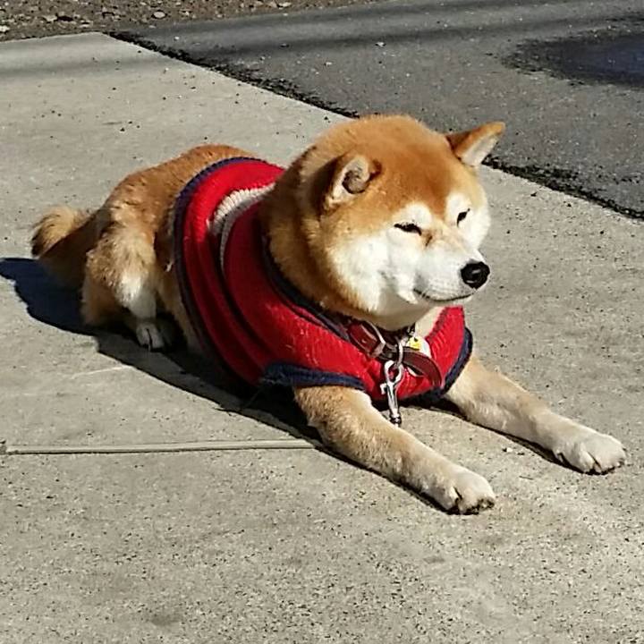 C0f863cf df0f 4eef a107 8cfa37aa969d