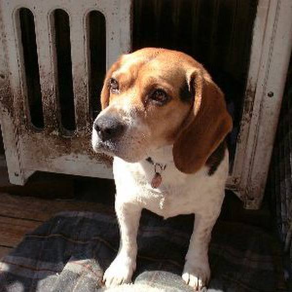 C0f984bf da56 49ed 8d31 05963f3adaa9