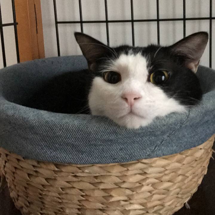 C0f99844 8bb5 46c2 8e2a 776ada0d7ecb