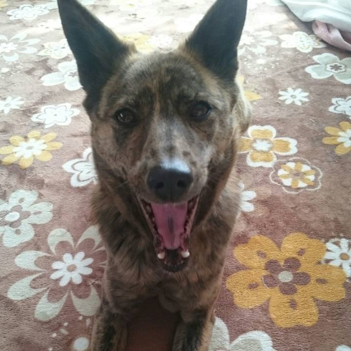 C0fa8091 1303 4ae2 8c1c 710db79af74a