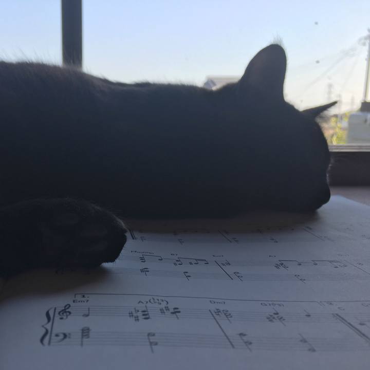 C0fa8e40 57d0 4baa a4ab b4f3c5432d02