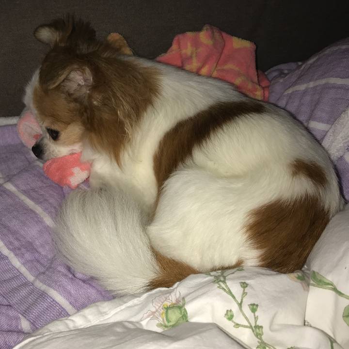 C0fb4311 8d2a 4a30 97c0 553e92145a36