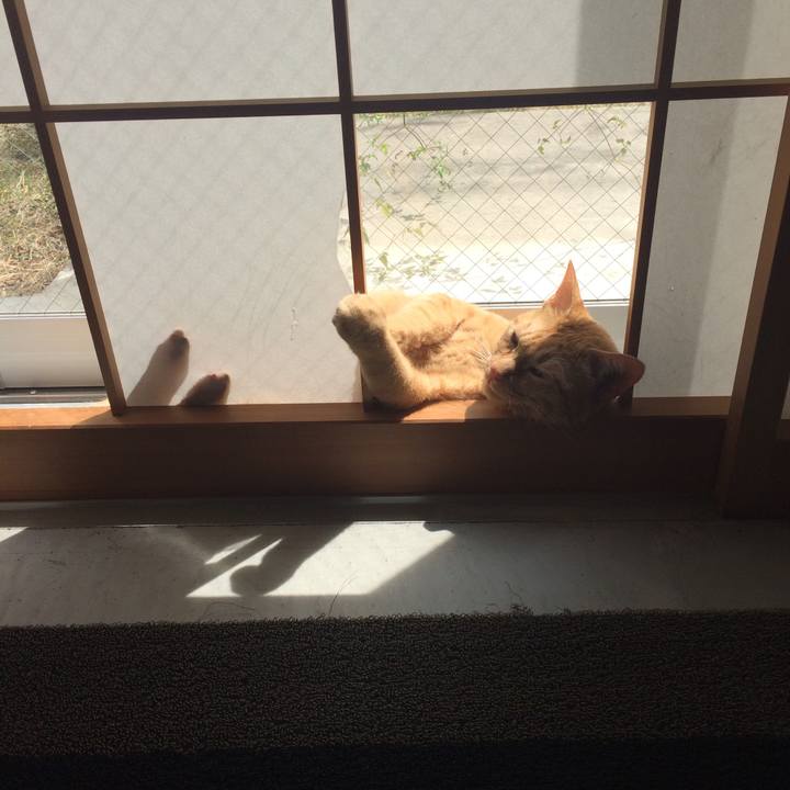 C0fc1c6e 95c1 409e 9765 c1d5f1f2a476