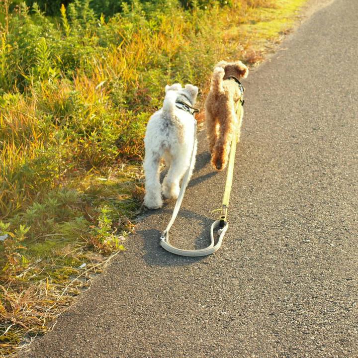 C0fc5fec e9e2 42cc baa7 06aca50c0984