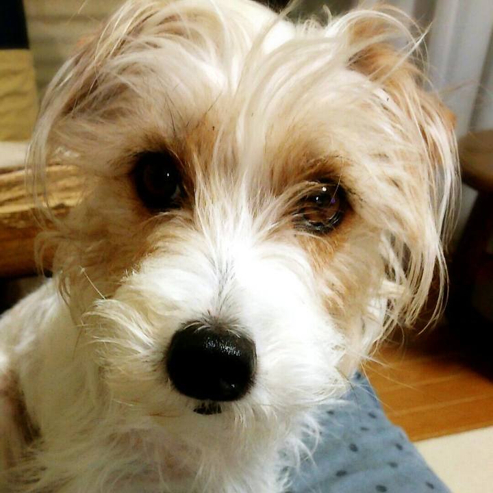 C0fca3e1 ea8c 4509 b61a 6337c3afe2bf