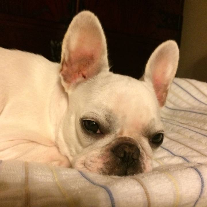 C0fd560f f86f 4436 855e 365b04bccaa5