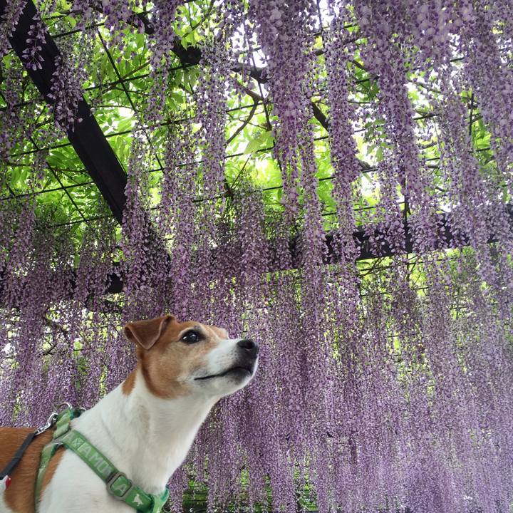 C0fd796a 1ecc 454b 9949 b559abc03f0c