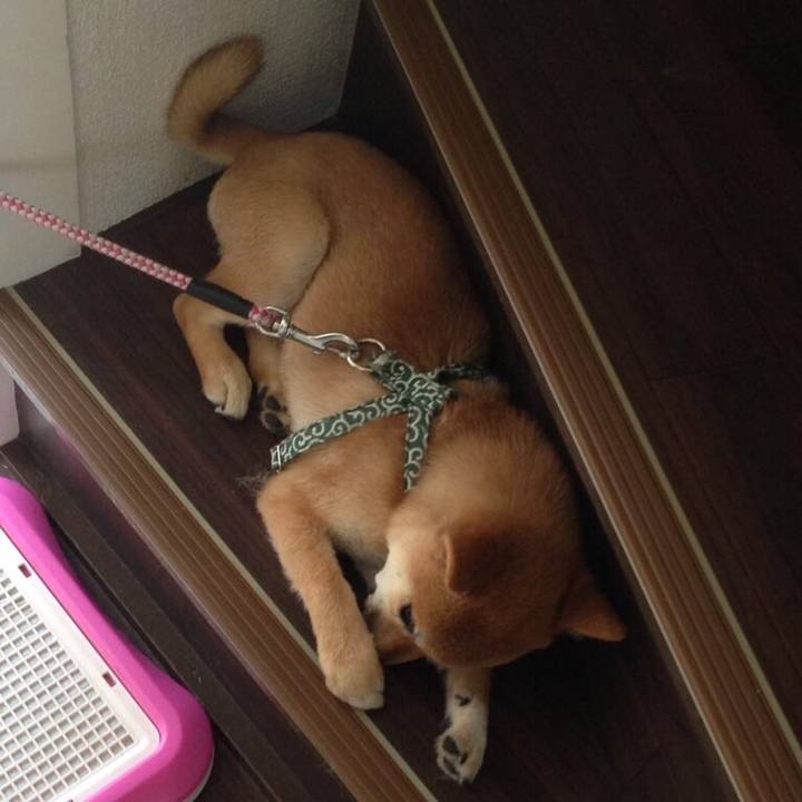 C0fdbdf2 fca8 410a b4a1 b98ebf37ba1f