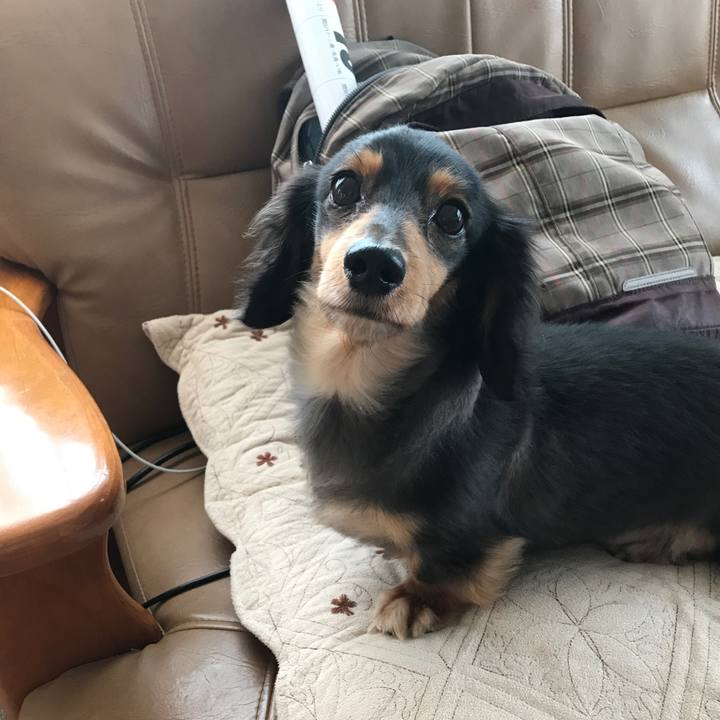 C0fed2a5 cb84 491e bc52 d22b5324f097