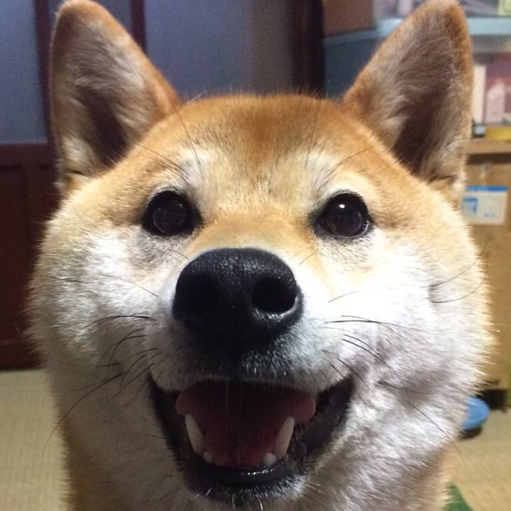 C0ff7437 656f 4372 9967 cc7712b54cc8